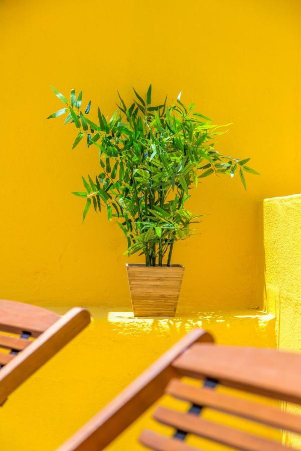 Alfama, Bright And Spacious With Private Terrace, By Timecooler Lisboa Dış mekan fotoğraf